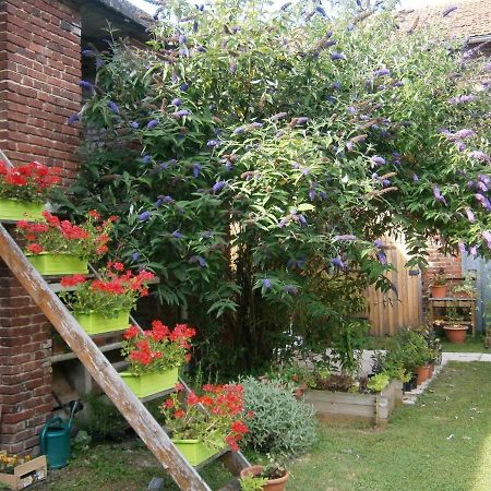 Bed and Breakfast Aux Sources De L'Ancre Miraumont Exterior foto