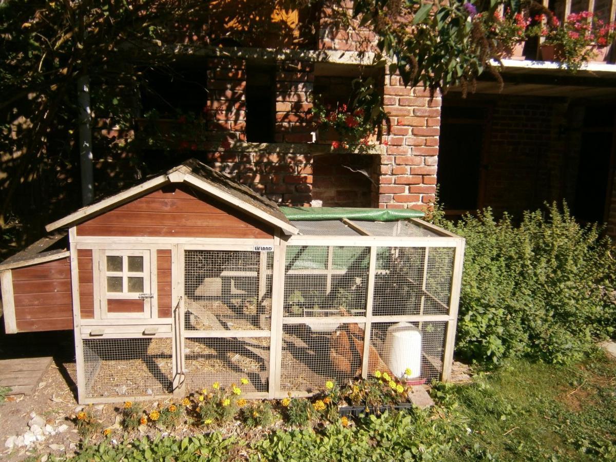 Bed and Breakfast Aux Sources De L'Ancre Miraumont Exterior foto