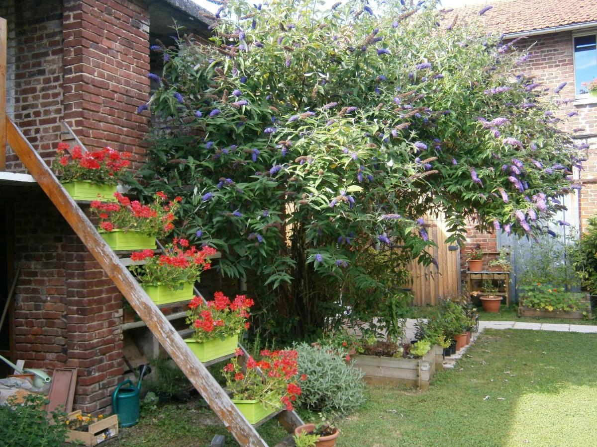 Bed and Breakfast Aux Sources De L'Ancre Miraumont Exterior foto